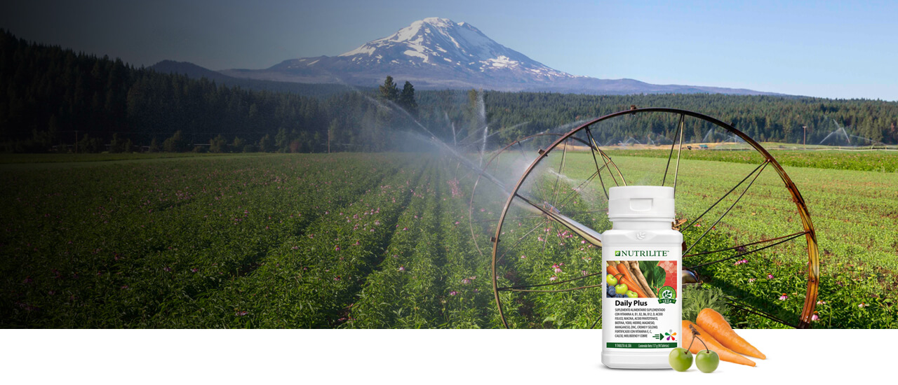 Double XT con fitonutrientes provenientes de plantas cultivadas en la Granja orgánica certificada en Trout Lake,Washington.