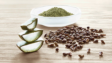 Imagen con hojas de aloe, té verde y semillas ingredientes de los productos de Cuidado Corporal G&H.